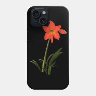 Amaryllis In Nature Phone Case