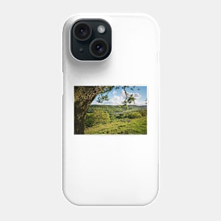 Swaledale Views Phone Case