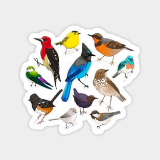 PNW Birds Magnet