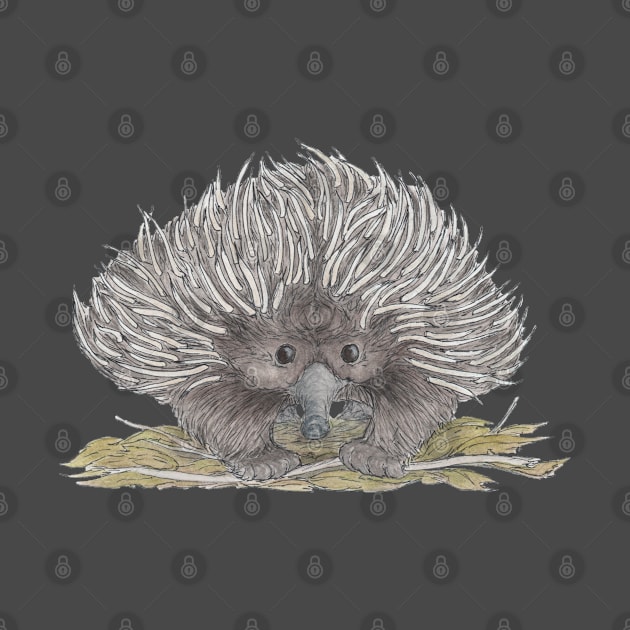 Echidna by AussieLogic