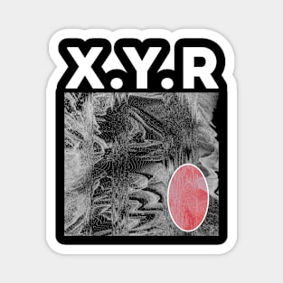 XYR edm Magnet