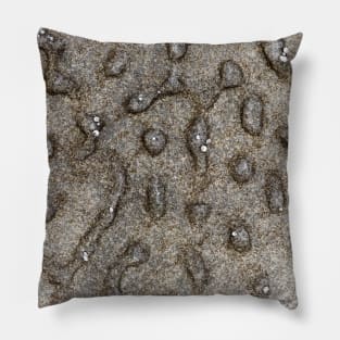 Spotted Volcanic Rock Formation Pillow