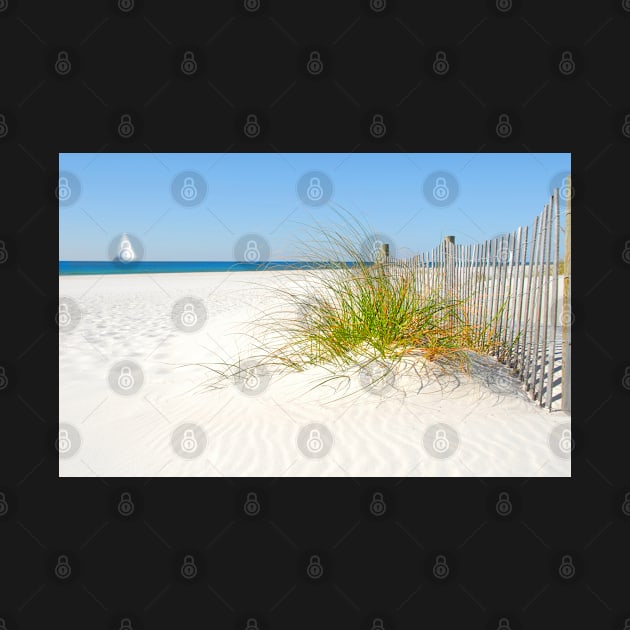 Beautiful White Sandy Beach with blue sky by Peter the T-Shirt Dude