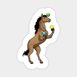 Horse Juggler Juggle Magnet