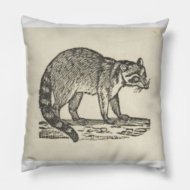 Raccoon Woodcut Pillow by bluespecsstudio