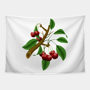 Cherry Branch Tapestry