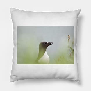 Razorbill with muted background Pillow