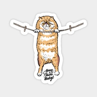 Hang in There Baby Persian Cat Magnet