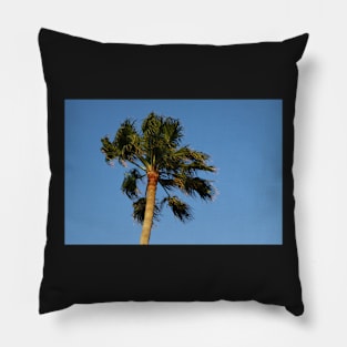 Palm tree Pillow