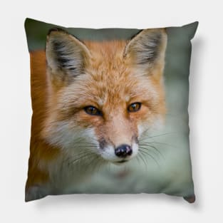 Red Fox Pillow