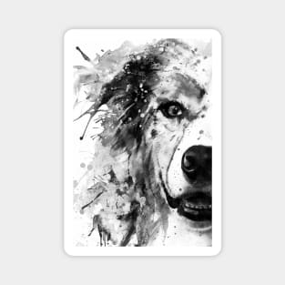 Australian Shepherd Dog Half Face Portrait Magnet