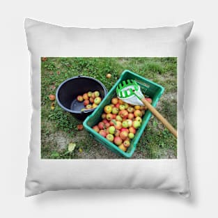 Apple harvest Pillow