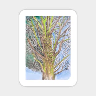 MEDUSA WATERCOLOR TREE Magnet