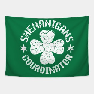 Shamrock St Patrick's Day Shenanigans Coordinator Teacher Tapestry