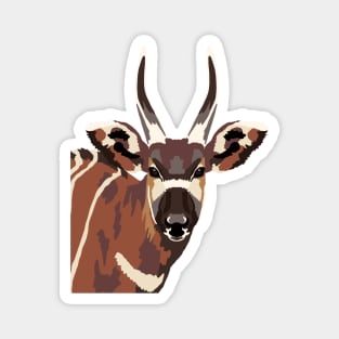 Bongo Antelope Magnet