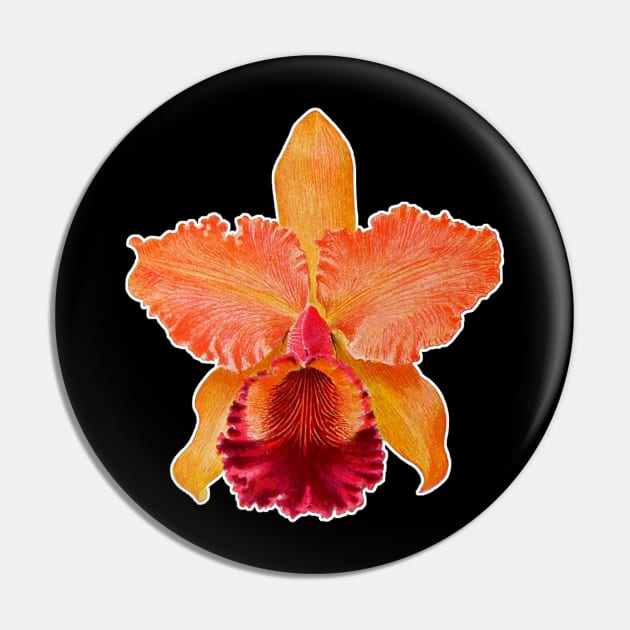 solitary orchid Pin by Marccelus