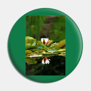 Reflected Waterlily Pin