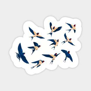 birds Magnet