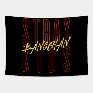 BANGCHAN Stray Kids Tapestry