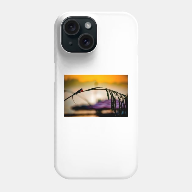 Sunrise Silhouette Phone Case by cbernstein