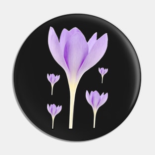 Crocus goulimyi   AGM  Autumn flowering crocus Pin