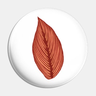 Calathea Cittata Leaf Pin