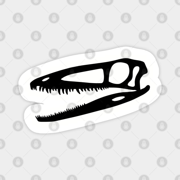 Coelophysis skull - black Magnet by SkeleCrewPaleo