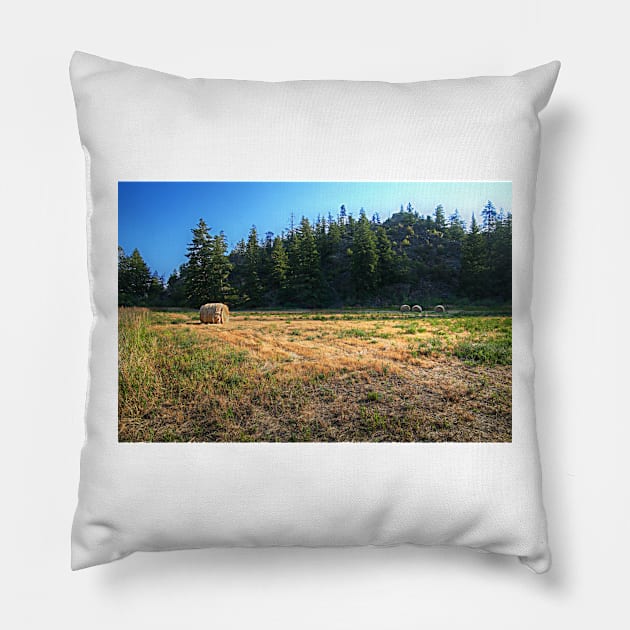 Glacier National Park Lake, Mountains, Hay Pillow by StonePics