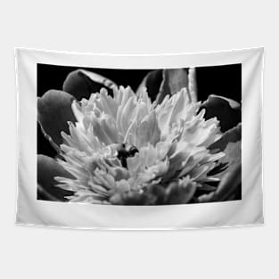 Black and White Peony Tapestry