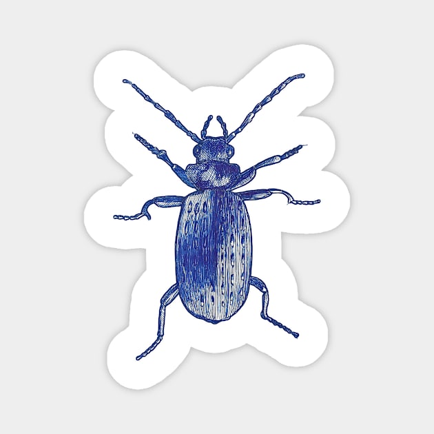 Blue Beetle Magnet by chadtheartist
