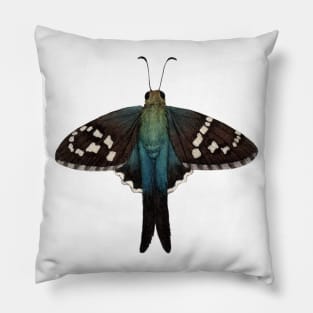 Long-tailed Skipper Pillow