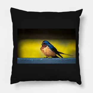 Barn Swallow on a Rail 2 Pillow