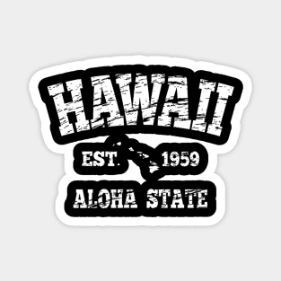 Hawaiian Aloha State Graphic Vintage Hawaiian Islands Magnet