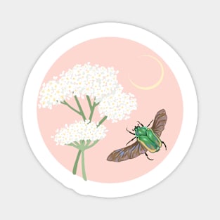 Beetle and Yarrow Magnet