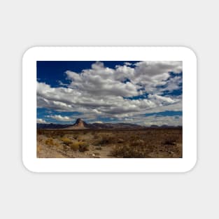 Arizona Landscape Magnet