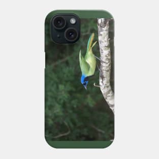 Green Jay Out On A Limb Phone Case