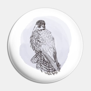 Hand drawn illustration of peregrine forest bird Pin