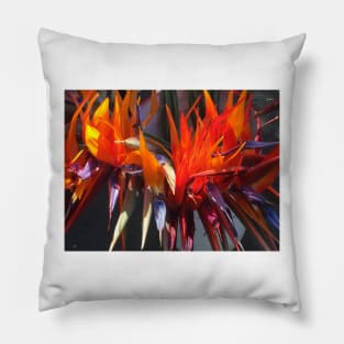 Bird of Paradise 1 Pillow