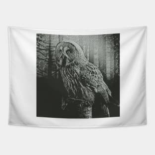 Mysterious Owl Tapestry