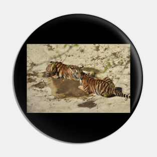 Tiger Cubs Pin