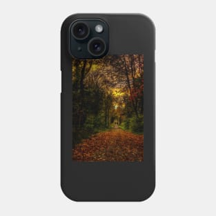 An Autumn Countryside Walk Phone Case