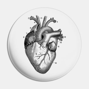 Human Heart Diagram - Vintage Anatomy Pin