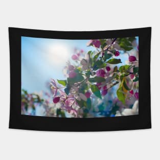 Cute apple blossom in the morning light Tapestry