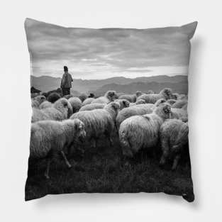 Shepherd Pillow