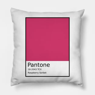 Raspberry Sorbet - Pantone 18-2043 TCX Pillow