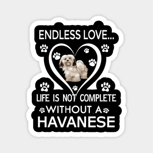 Havanese Lovers Magnet