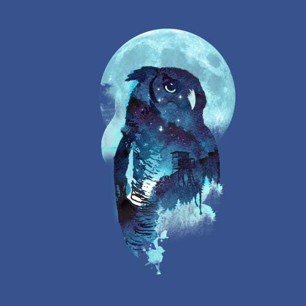 Midnight Owl by astronaut