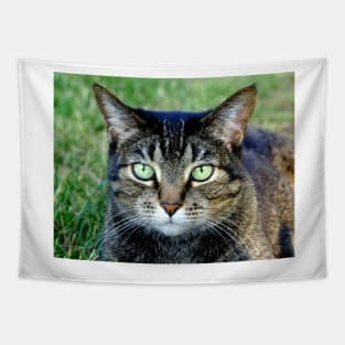 Green Cat Eyes Tapestry