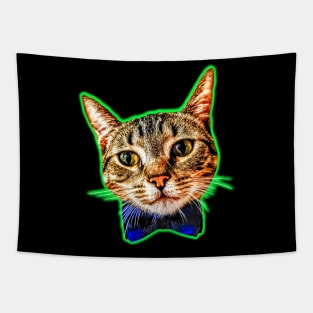 Dapper Cat Tapestry