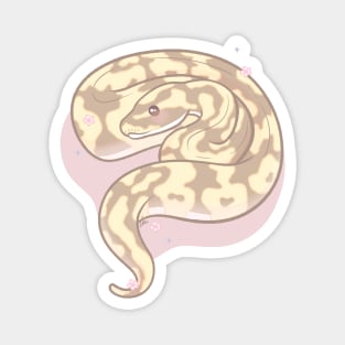 Normal Ball Python Original Illustration Magnet